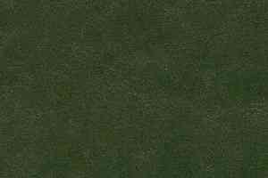 Линолеум Forbo Marmoleum Decibel on Order 335935 bottle green фото  | FLOORDEALER